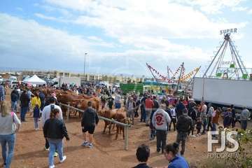 Los Llanos de Telde, en el día grande de sus fiestas patronales de 2019 (Foto Francisco Javier Santana)